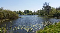 77. Platz: Rainer Korn Neu! mit Ein Teich im Naturschutzgebiet „Alte Leine“