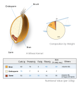 Structure and nutritional value of whole grains