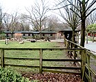 A petting farm at the Queens Zoo