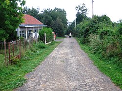 Street of Drajinci