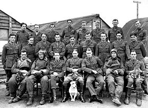 Portrait of twenty-four men in military uniforms and flying suits, with a dog sitting in foreground and a cat on one man's lap