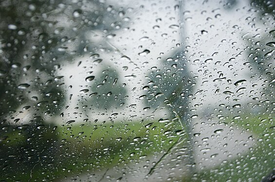 Regen-auf-Windschutzscheibe-mit-Aussicht.