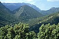 Sierra de Grazalema