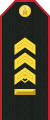 Mongolian Army-MSG-service