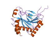 2g1m: Cellular Oxygen Sensing: Crystal Structure of Hypoxia-Inducible Factor Prolyl Hydroxylase (PHD2)