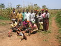 Landwiatschaft i Tarfila z Burkina Faso.