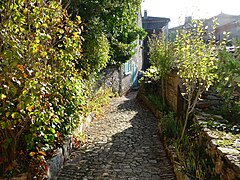 Une ruelle pavée et avec végétation