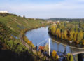 Weinbau in Steillage am Cannstatter Zuckerle