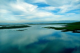 Biobio-jogen estuarijan nägu