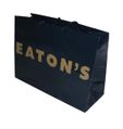 Eaton's department store bag