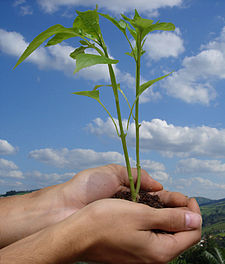 বিশ্ব পৰিৱেশ দিৱস World Environment Day (WED)