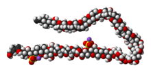 Space-filling model of the maitotoxin molecule