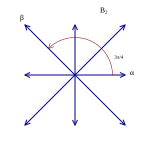 Root system B2