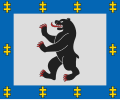 Šiauliai: Vlag