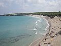 Torre dell'Orso', perav.