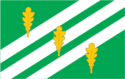 Vlag van de gemeente Sonda