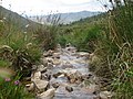 Nacemento do río Landro na serra do Xistral.