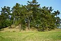 群馬県前橋市 八幡山古墳（130m）