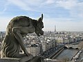 Image 21View from Notre-Dame de Paris.