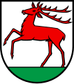 Cervo saliente (Hirschthal, Svizzera)