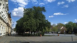 5. května Square