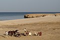 Red Sea at Marsa Alam