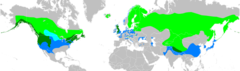 Mapa występowania