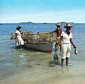 Fisherman landing his catch, Seychelles.