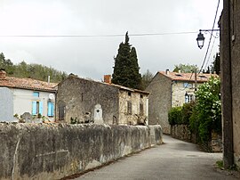 A view within Courtauly