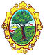 Blason de San Martín