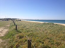 Vue d'une plage et de dunes de sable. La mer est sur la droite de la photo.