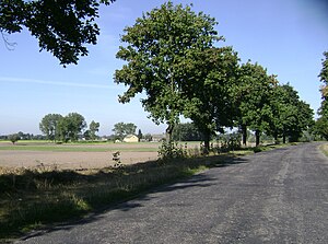 Lipno apriņķa ainava (Ščepanku ciems Velges gminā)