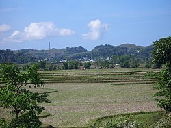 Lahan pertanian di Kota Waikabubak