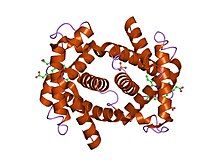 PDB 1hho EBI.jpg