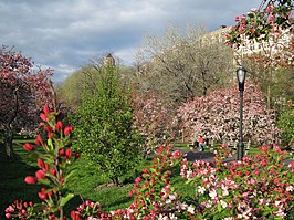 Lente in Riverside Park dat in de Upper West Side ligt