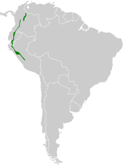 Distribución geográfica del canastero flamulado.