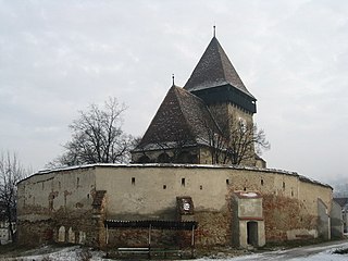 Castle in Axente Sever