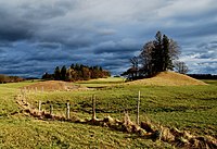 93. Platz: Boschfoto mit Drumlins auf dem Hirschberg in Pähl im FFH-Gebiet „Moränenlandschaft zwischen Ammersee und Starnberger See“