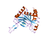 2hbu: Crystal structure of HIF prolyl hydroxylase EGLN-1 in complex with a biologically active inhibitor