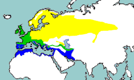 Төр ареалы картаһы