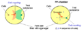 Agar-plate Chemotaxis Techniques