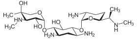 Image illustrative de l’article Gentamicine