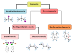 Vorschaubild für Isomerie