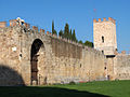 Il tratto di mura con la porta del Leone