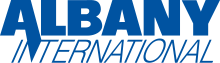 The word "Albany" in bolded sans-serif capitals of even stroke weight, with the right leg of the "A" becoming a descender, forming the diagonal of the "N", in the word "International" below, oblique in a much more lightweight stroke. Both words are rendered in dark blue.