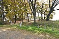 太田市 二ツ山古墳2号墳（45m）