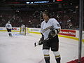 Teemu Selanne (Cropped version)