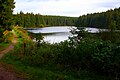 Oberharzer Wasserregal - Bärenbrucher pond