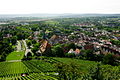 Blick von der Burgruine View from the castle ruin