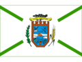 Bandeira da Cidade de Dois Vizinhos